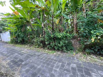 DIJUAL / FREEHOLD : Tanah Kecil Premium, 3,15 Are, Jl. Pantai Batu Belig Badung, Bali