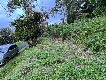 jual tanah view sawah pinggir jalan utama penebel, tabanan bali.