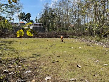 Tanah Murah 14 Are Dekat ke Pantai Balangan Cocok Untuk Villa