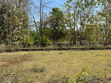 Tanah Murah 14 Are Dekat ke Pantai Balangan Cocok Untuk Villa