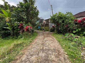 jual tanah kebun murah view sawah di tabanan bali