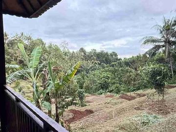 jual kebun durian dan rumah kayu cantik di kawasan desa wisata sesandan selemadeg timur tabanan bali.