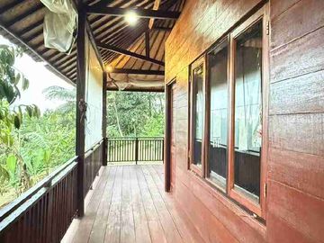 jual kebun durian dan rumah kayu cantik di kawasan desa wisata sesandan selemadeg timur tabanan bali.