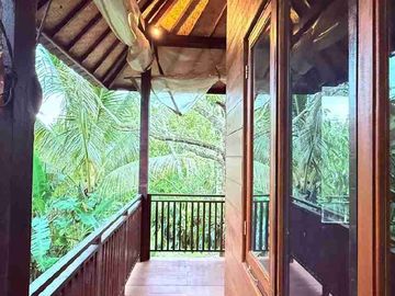 jual kebun durian dan rumah kayu cantik di kawasan desa wisata sesandan selemadeg timur tabanan bali.