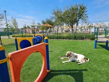 Vive con tranquilidad y confort: Tu nuevo hogar con Amenidades en la Zona Norte