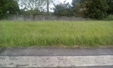 Residential Lot For Sale Centara Tagaytay Subd-MC