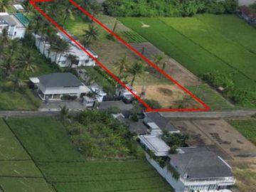 Oceanfront Land for Sale 2,400 sqm in Pasut, Tabanan – Premium Investment with Direct Beach Frontage