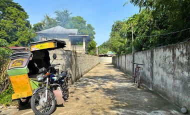 Residential Lot for Sale in Palina East, Urdaneta City, Pangasinan