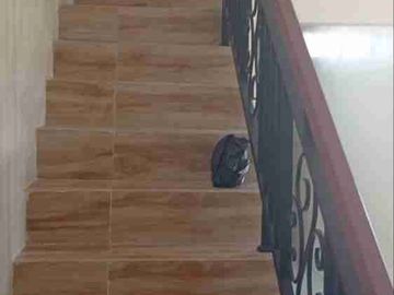 Rumah Bagus Siap Huni 2 lt di Gedongan Colomadu