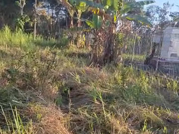 Dijual Murah Tanah di Pakis Kembar Malang