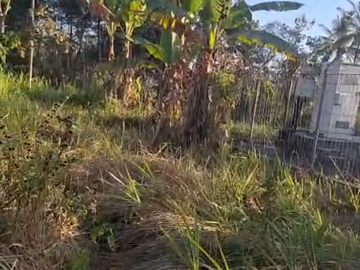 Dijual Murah Tanah di Pakis Kembar Malang