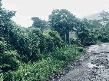 jual tanah area jatiluwih tabanan bali, suhu sejuk view junggle yang asri.