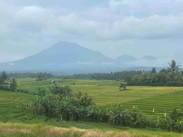 jual tanah view sawah dan gunung di tabanan bali.