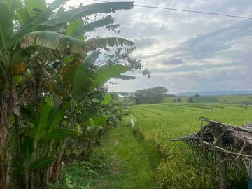 jual tanah view sawah dan gunung di tabanan bali.