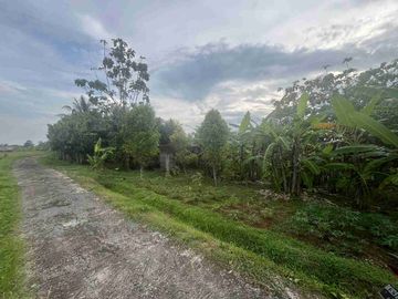 jual tanah view sawah dan gunung di tabanan bali.