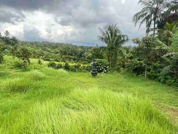 jual kebun durian premium aneka jenis view sawah dan gunung cantik di tabanan bali.