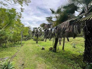 jual tanah pinggir jalan antar provinsi di panghyangan bali.
