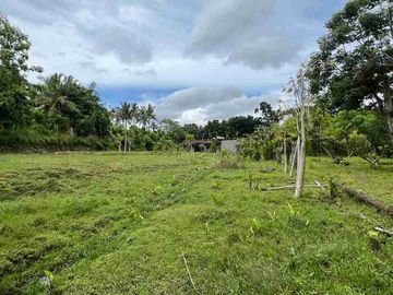 jual tanah pinggir jalan antar provinsi di panghyangan bali.