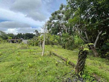 jual tanah pinggir jalan antar provinsi di panghyangan bali.