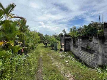 jual tanah pinggir jalan antar provinsi di panghyangan bali.