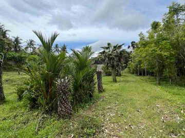 jual tanah pinggir jalan antar provinsi di panghyangan bali.
