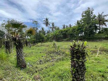 jual tanah pinggir jalan antar provinsi di panghyangan bali.