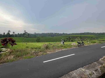 jual tanah sawah view cantik di tabanan bali