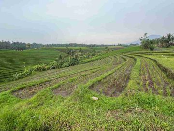 jual tanah sawah view cantik di tabanan bali