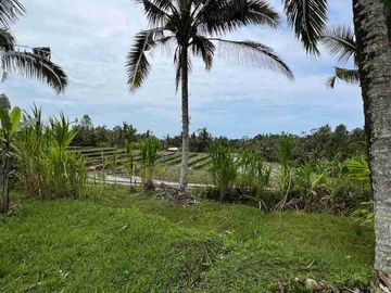jual tanah view sawah terasering di tabanan bali