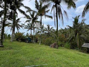 jual tanah view sawah terasering di tabanan bali