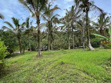 jual tanah view sawah terasering di tabanan bali