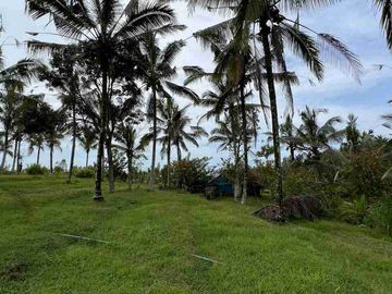 jual tanah view sawah terasering di tabanan bali