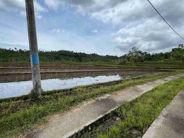 jual tanah view sawah terasering di tabanan bali