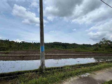 jual tanah view sawah terasering di tabanan bali