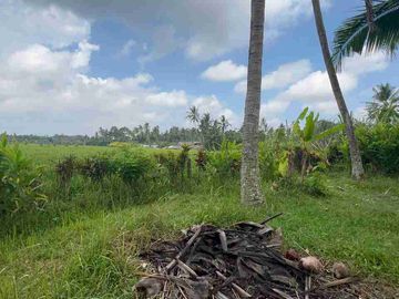 jual tanah Luasan kecil view sawah terasering dekat kota, sangat strategis dengan kawasan asri di tabanan bali.