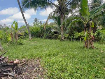 jual tanah Luasan kecil view sawah terasering dekat kota, sangat strategis dengan kawasan asri di tabanan bali.