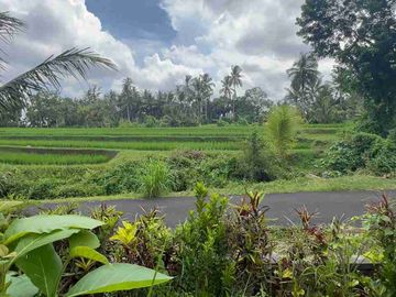 jual tanah Luasan kecil view sawah terasering dekat kota, sangat strategis dengan kawasan asri di tabanan bali.