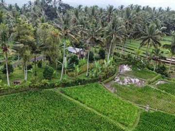 jual tanah Luasan kecil view sawah terasering dekat kota, sangat strategis dengan kawasan asri di tabanan bali.