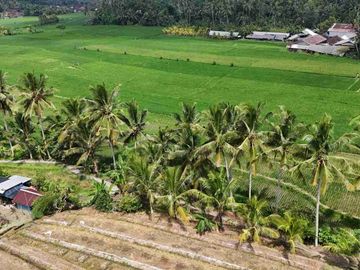 jual tanah Luasan kecil view sawah terasering dekat kota, sangat strategis dengan kawasan asri di tabanan bali.