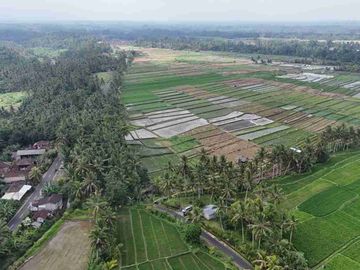 jual tanah Luasan kecil view sawah terasering dekat kota, sangat strategis dengan kawasan asri di tabanan bali.