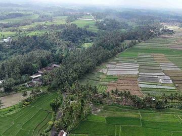 jual tanah Luasan kecil view sawah terasering dekat kota, sangat strategis dengan kawasan asri di tabanan bali.