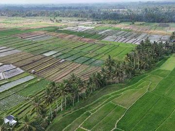 jual tanah Luasan kecil view sawah terasering dekat kota, sangat strategis dengan kawasan asri di tabanan bali.