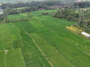 jual tanah Luasan kecil view sawah terasering dekat kota, sangat strategis dengan kawasan asri di tabanan bali.
