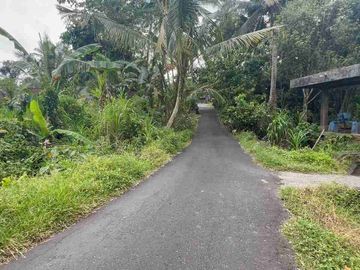 jual tanah Luasan kecil view sawah terasering dekat kota, sangat strategis dengan kawasan asri di tabanan bali.