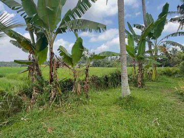 jual tanah Luasan kecil view sawah terasering dekat kota, sangat strategis dengan kawasan asri di tabanan bali.
