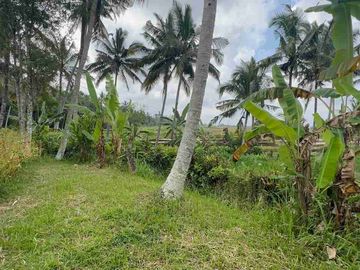 jual tanah Luasan kecil view sawah terasering dekat kota, sangat strategis dengan kawasan asri di tabanan bali.