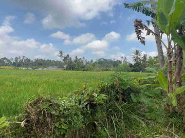 jual tanah Luasan kecil view sawah terasering dekat kota, sangat strategis dengan kawasan asri di tabanan bali.