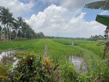 jual tanah Luasan kecil view sawah terasering dekat kota, sangat strategis dengan kawasan asri di tabanan bali.