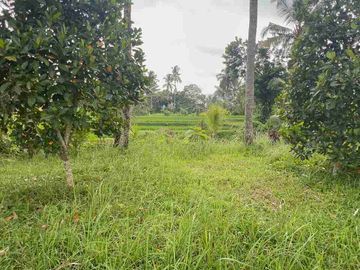 jual tanah Luasan kecil view sawah terasering dekat kota, sangat strategis dengan kawasan asri di tabanan bali.