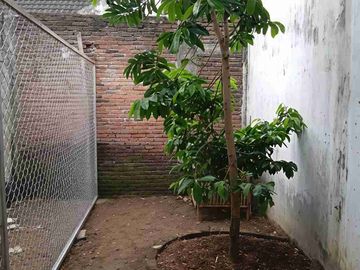 RUMAH MEWAH SIAP HUNI MURAH DIENG
